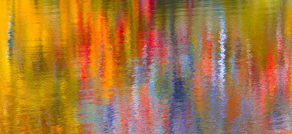 Autumn Symphony