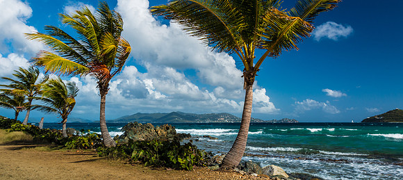 Island Breeze