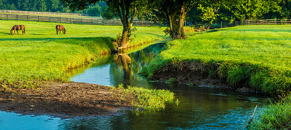 Stroll in the Bluegrass