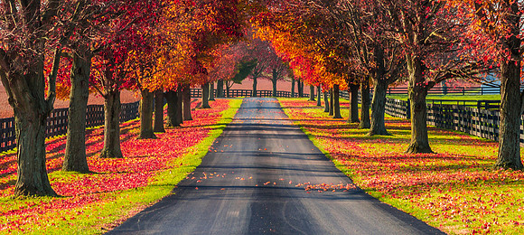The Road Home