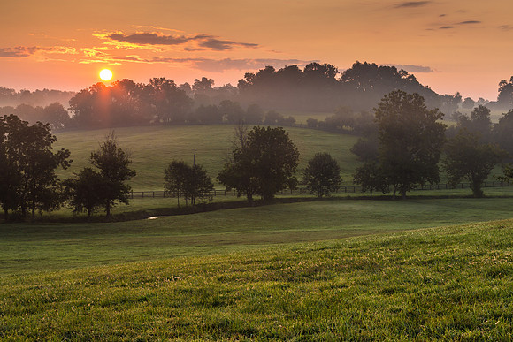 Kentucky Morning