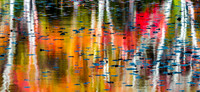 Reflections