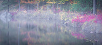 Reflections